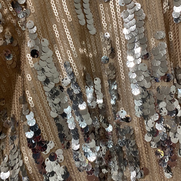 Beautiful champagne sparkly dress! - Picture 2 of 5